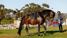 Nampo Kaap 2024