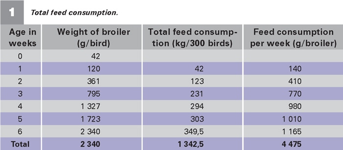 how-to-enhance-broiler-production