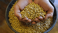More than R600 million difference raises serious questions for Farmers and Consumers