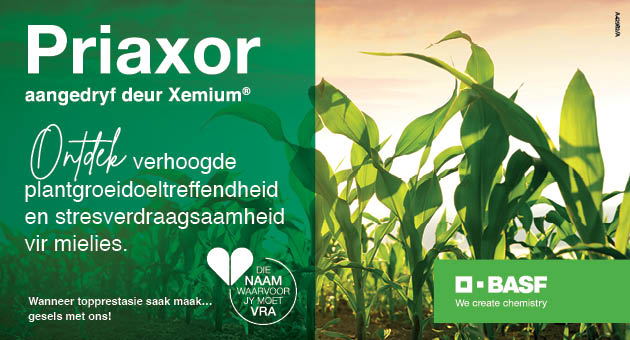 Priaxor paid advert