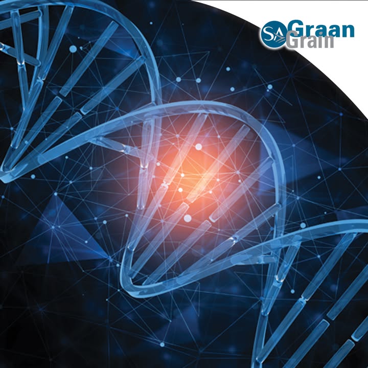 Discover how Europe's milestone approach to New Genomic Techniques could reshape global precision breeding and…