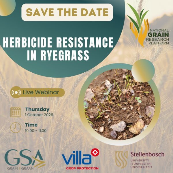 Herbicide Resistance in Ryegrass: What Producers Need to Know Join the NGRP for an informative…