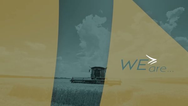 Grain SA - WE are