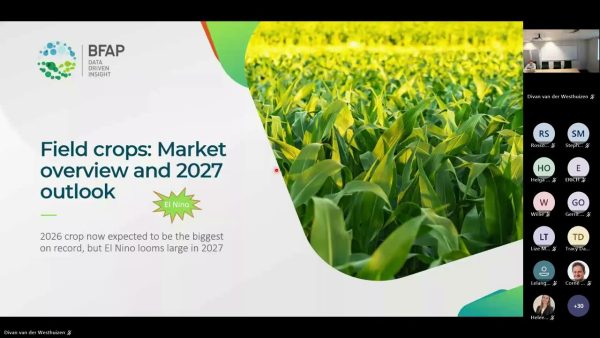 GSA BFAP Summer Grain Scenarios